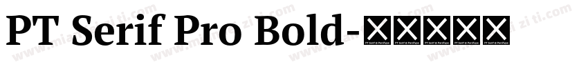 PT Serif Pro Bold字体转换